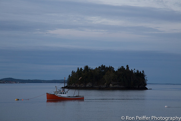 Lubec Harbor Rain