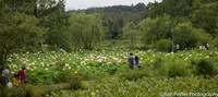 Kenilworth 0704-9