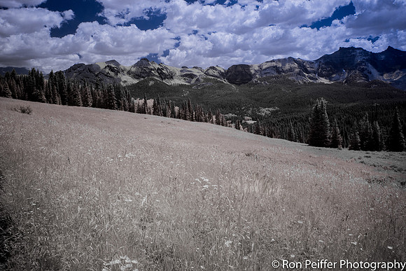 IMG_2902-Edit