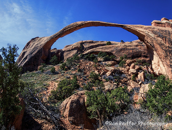 Untitled_Panorama1