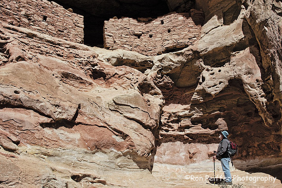 Sand Canyon Alcove
