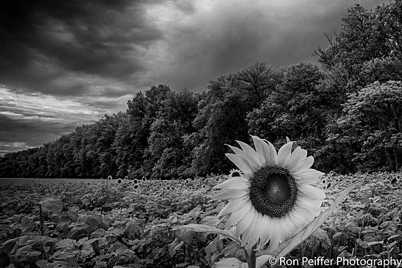 _DSC5413_HDR
