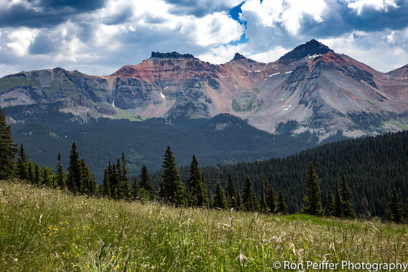 Alpine Meadow